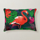 Recherche de cocotiers coussins Botanique