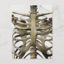 Recherche de vue 3d cartes postales Illustrations biomédicales