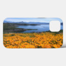 Recherche de réservoirs coques Paysage