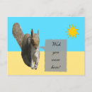 Recherche de squirrel cartes postales Rongeur