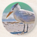 Recherche de oiseau dessous de verres Rivage
