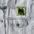 Recherche de gorille badges Faune