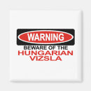 Recherche de chien de vizsla magnets Chiot