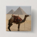 Recherche de chameaux badges Égypte
