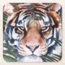Recherche de tigre dessous de verres Tropical