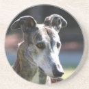 Recherche de lévrier dessous de verres Chien