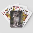Recherche de chaton jeux de cartes Animaux domestiques