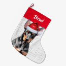 Recherche de pinscher chaussette de noël Vacances