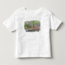 Recherche de cornouiller tshirts Nature