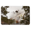 Recherche de parcs nationaux américains magnets Wyoming