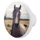 Recherche de arabe boutons et poignées de porte Cheval