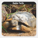 Recherche de tortue lente autocollants Animal