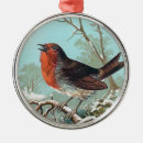 Recherche de oiseaux de merle ornements Neige