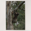 Recherche de koala puzzles Nature