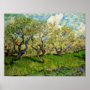 Recherche de arbre fleurissant posters Mère