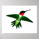 Recherche de colibri posters Animal