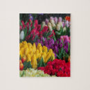 Recherche de tulip puzzles Rose