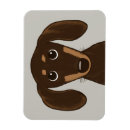 Recherche de chocolat magnets Dog