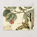 Recherche de papillon cartes postales Rouge