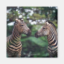 Recherche de aucunes personnes magnets Dehors
