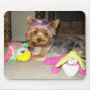 Recherche de chien pourpre tapis souris Chiens