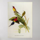 Recherche de john gould posters Illustration