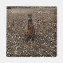 Recherche de marsupiaux magnets Marsupial