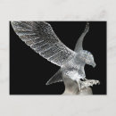 Recherche de aigles cartes postales Photographie