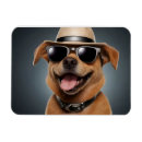 Recherche de lunettes magnets Dog
