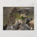 Recherche de canadien cartes postales Télévision