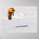 Recherche de yukon posters Superstock