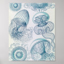 Recherche de zoologie posters Histoire naturelle
