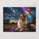 Recherche de colley cartes postales Amoureux des chiens