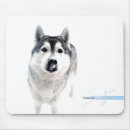 Recherche de husky tapis souris Huskies