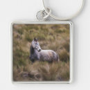 Recherche de cheval gris porteclés Équin