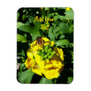 Recherche de abeille magnets Bourdon