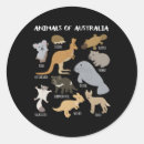 Recherche de koala australien autocollants Koalas