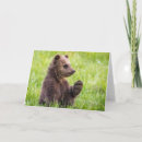 Recherche de ours bruns vœux cartes Animal mignon