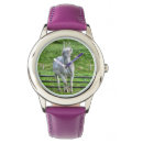 Recherche de photo de cheval montres Amateurs de chevaux
