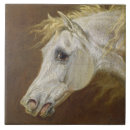 Recherche de beau cheval carreaux Gris