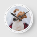 Recherche de l chiens horloges Chat