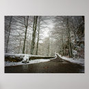 Recherche de de route posters Arbre