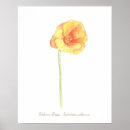 Recherche de poppy posters Fleur