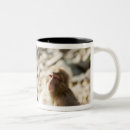 Recherche de préfecture tasses Dehors