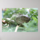 Recherche de iguane art Lézards