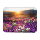 Recherche de fleurs sauvages magnets Montagne