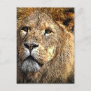Recherche de nouveauté cartes postales Illustration