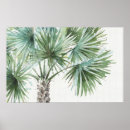 Recherche de arbre tropical posters Frondes