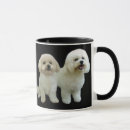 Recherche de bichon tasses Frise de bichon
