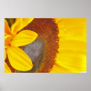 Recherche de annuel posters Pour elle